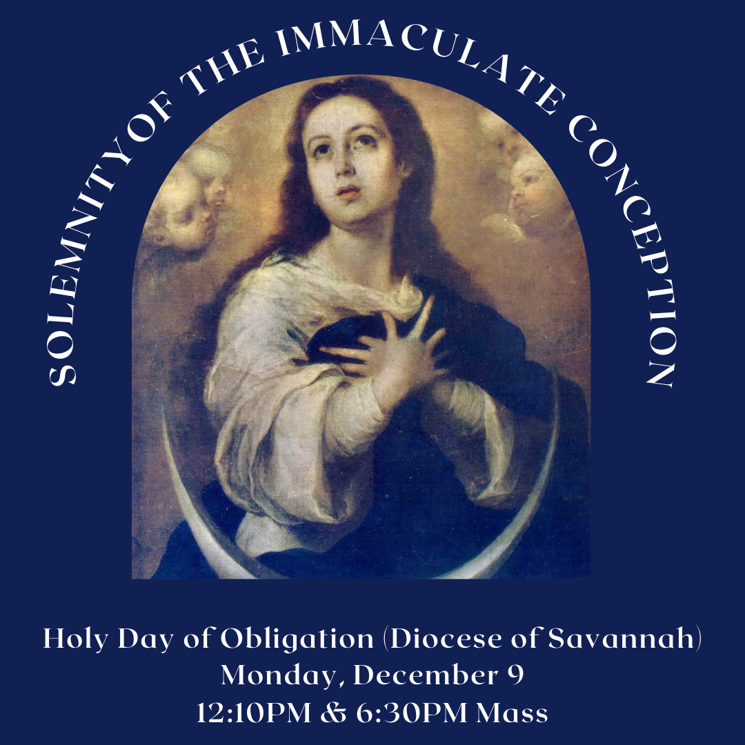 Solemnity of the Immaculate Conception